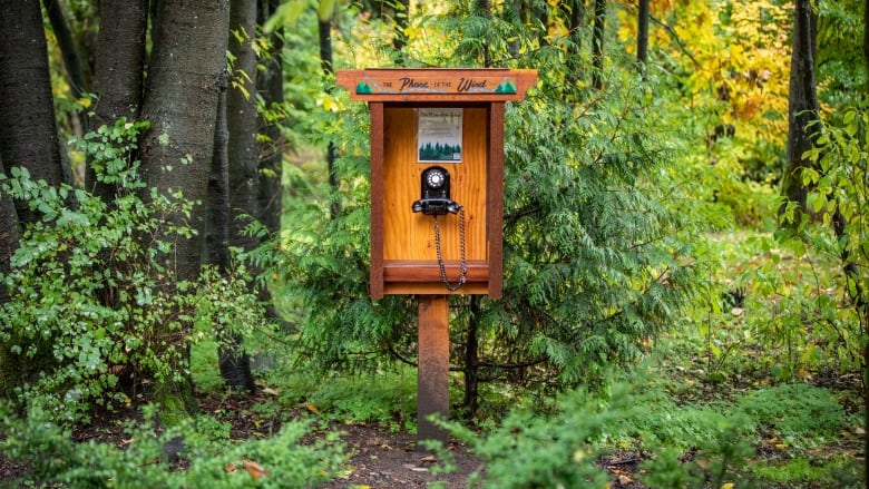 SCUWindPhone