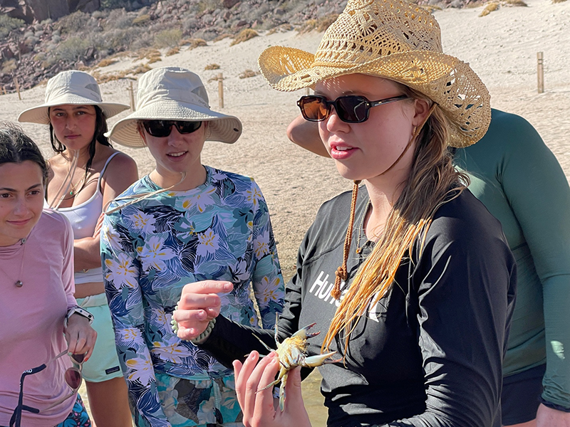 Student Emma Johansen explains the anatomy of a green swimming crab she caught in the mangrove swamp.