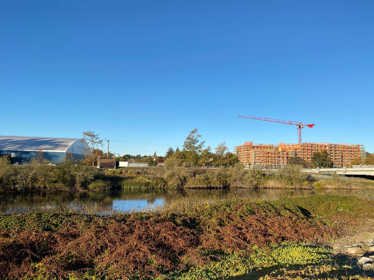 San Lorenzo River development