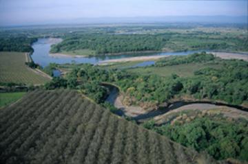 Riparian forests along the Sacramento River floodplain. Taken by Geoff Fricker, used with permission. 