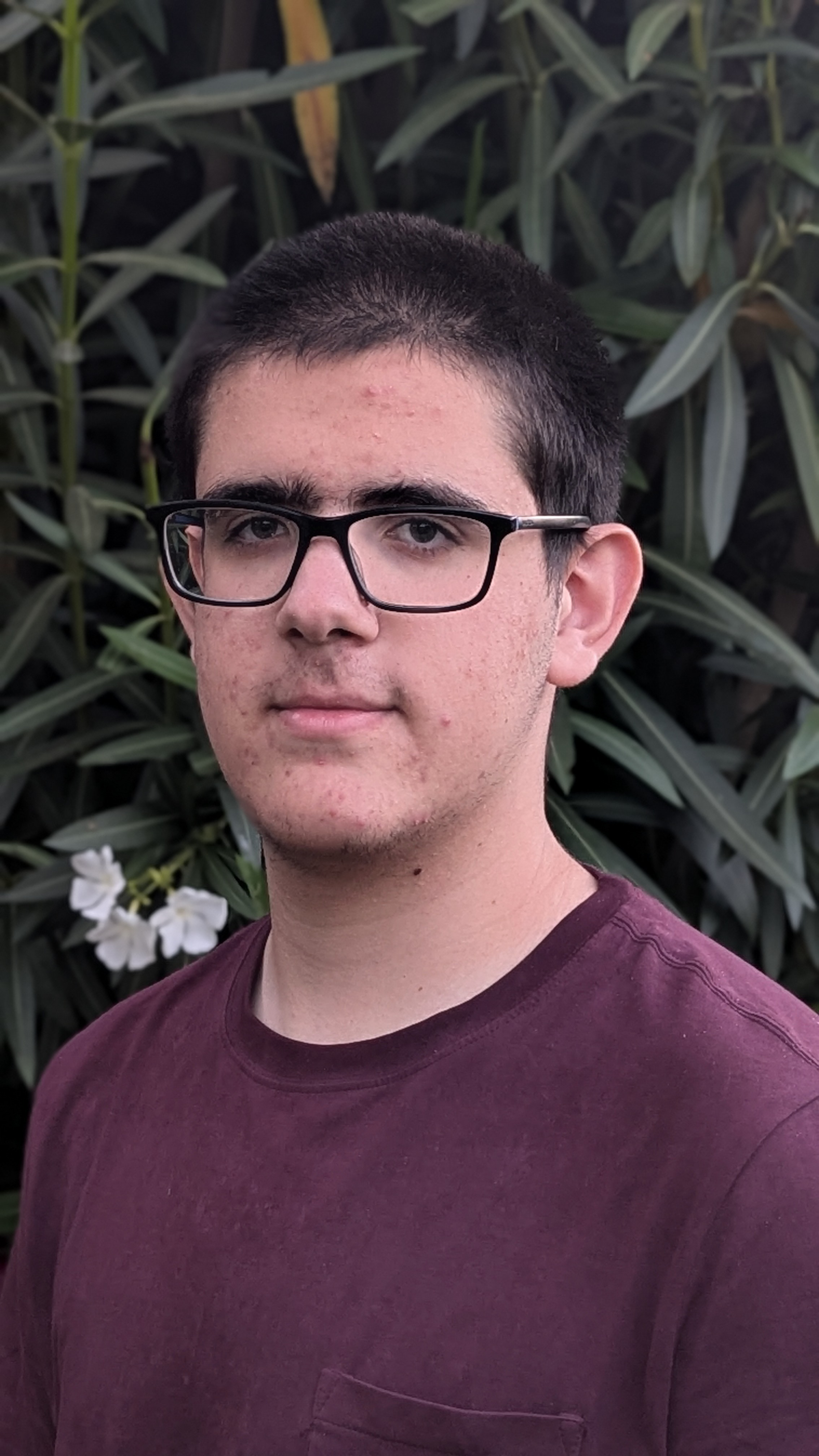 MLC tutor