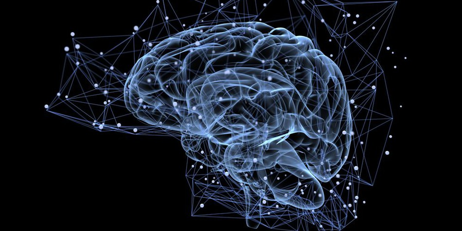 Digital brain 