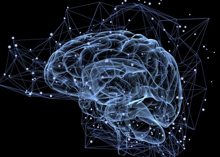 Digital brain 
