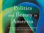 Politics and Beauty in America book cover with abstract colorful design.