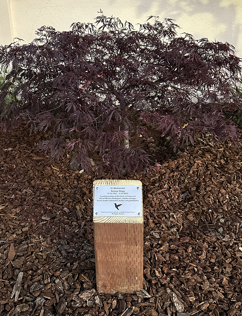 A newly planted tree and plaque dedicated to Teresia Hinga