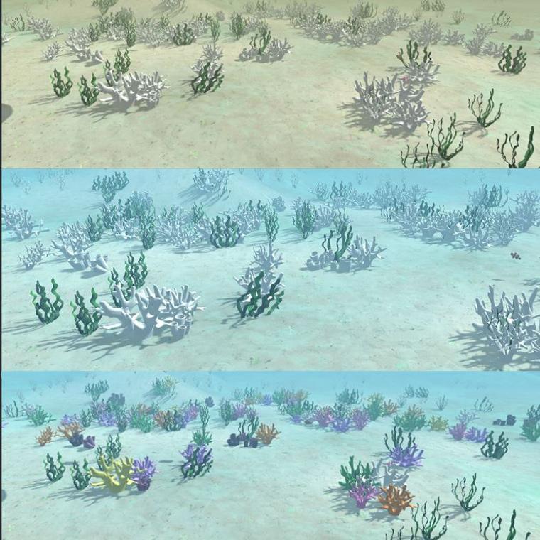 Your decisions impact the environment.