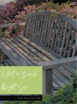 Gray wooden bench surrounded by foliage with the text What A Bench Might See in green.