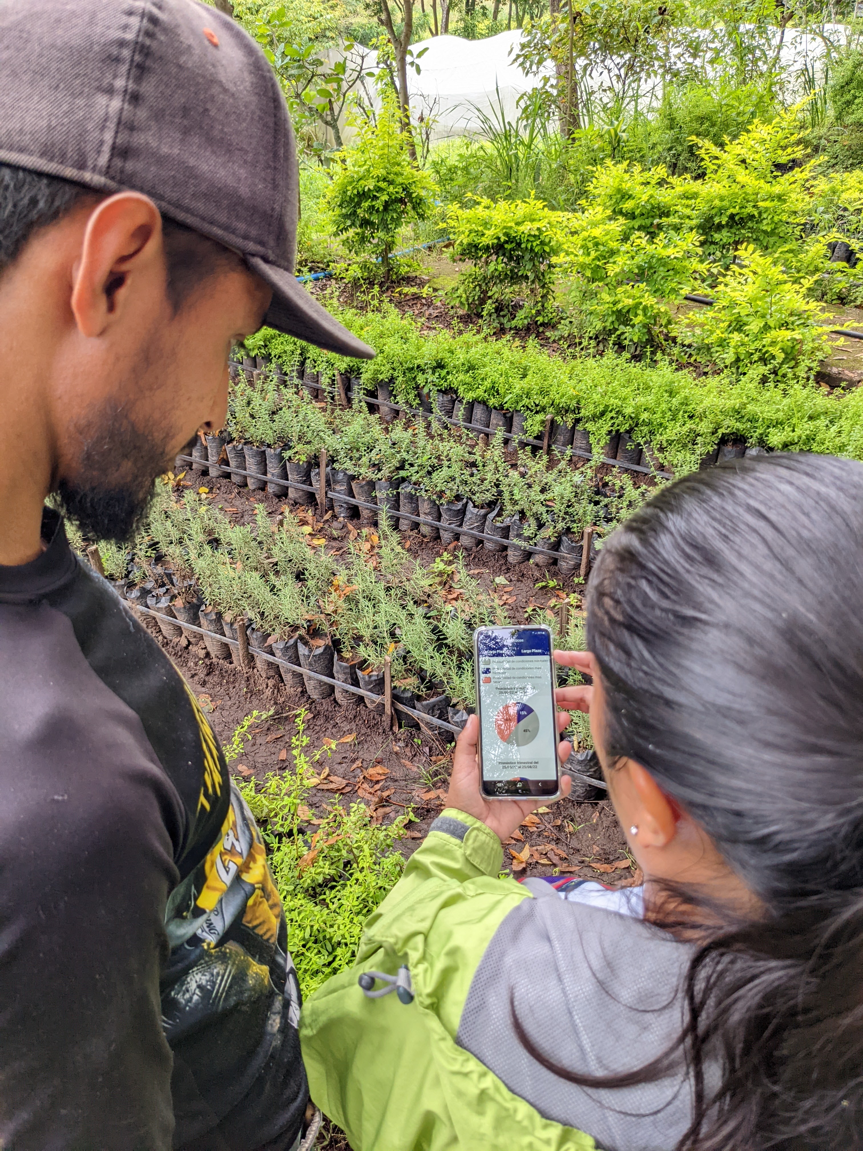 Two people looking at a smartphone while standing in a plant nursery