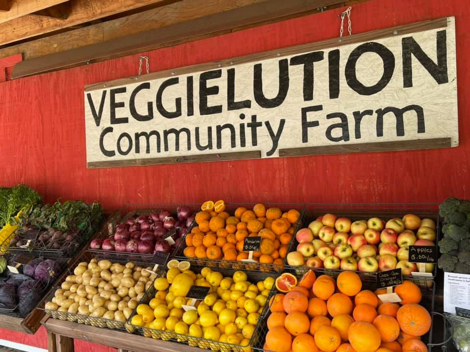 Collaborative Innovation for Food Justice in Silicon Valley article 