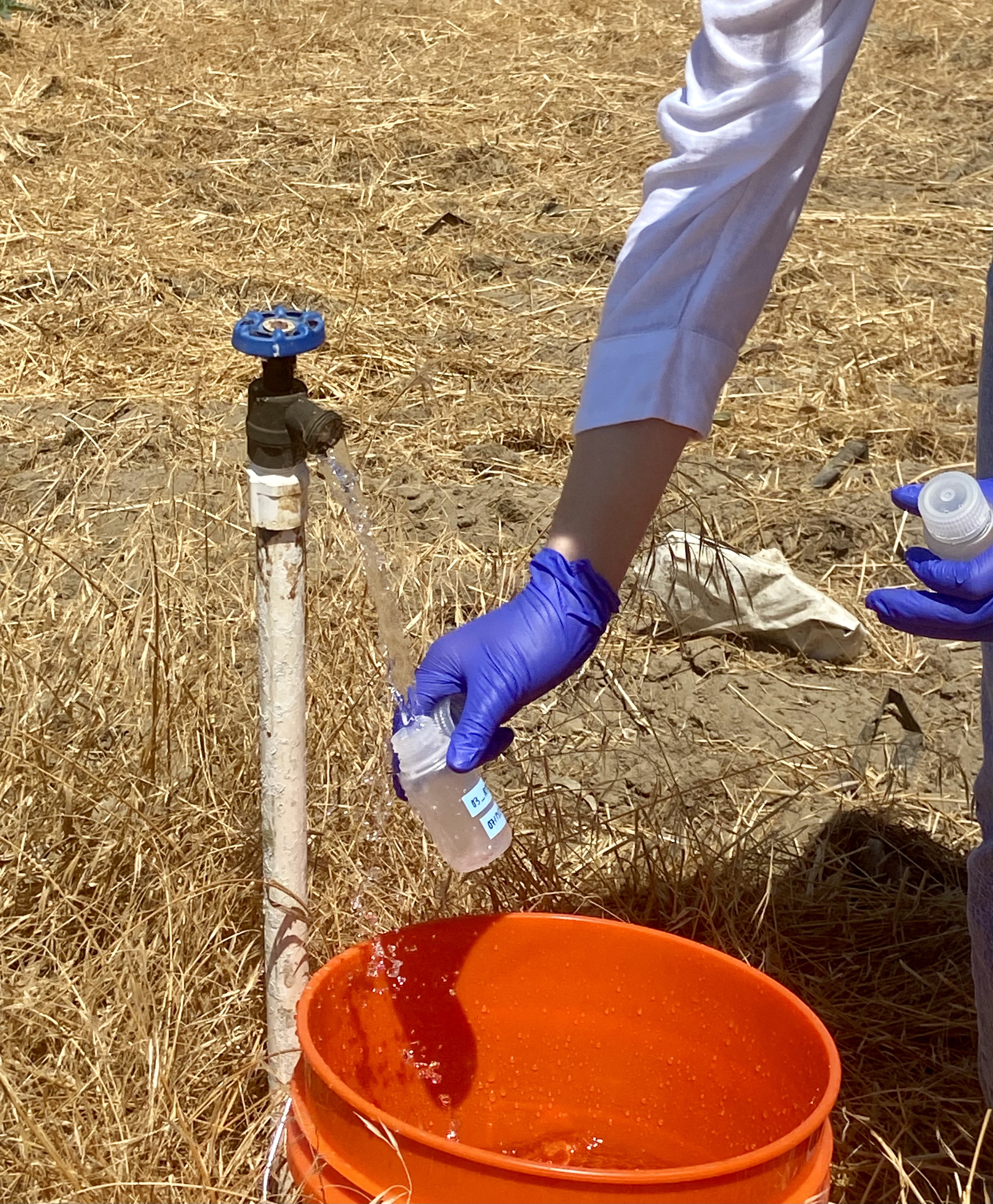 A person collecting a water sample from a spigot into a small plastic bottle