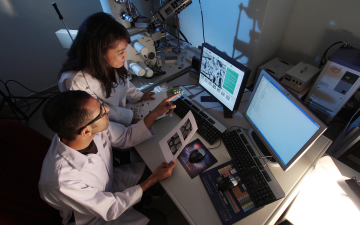 Scientists in a laboratory conducting medical research. Felixion via Pixabay.