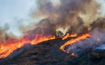 Brush and Tree Landscape Burning with Flame and Smoke During California Wildfire. By Erin via Adobe Stock.
