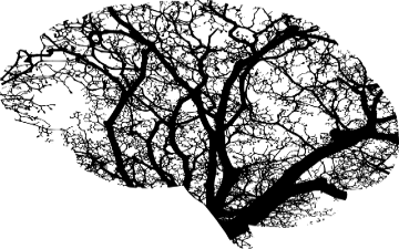 artistic outline of a human brain 