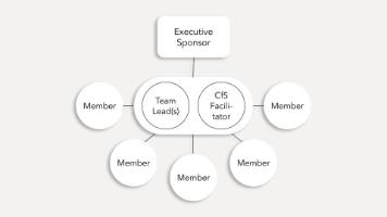 Structure of Implementation Team
