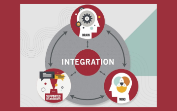 Model showing the integration of brain, mind and supported relationships. 