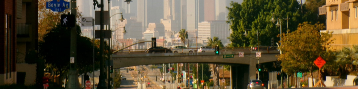 LA Skyline from Boyle Heights Immersion 