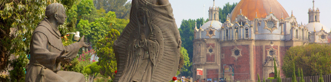 Basilica of Our Lady of Guadalupe 