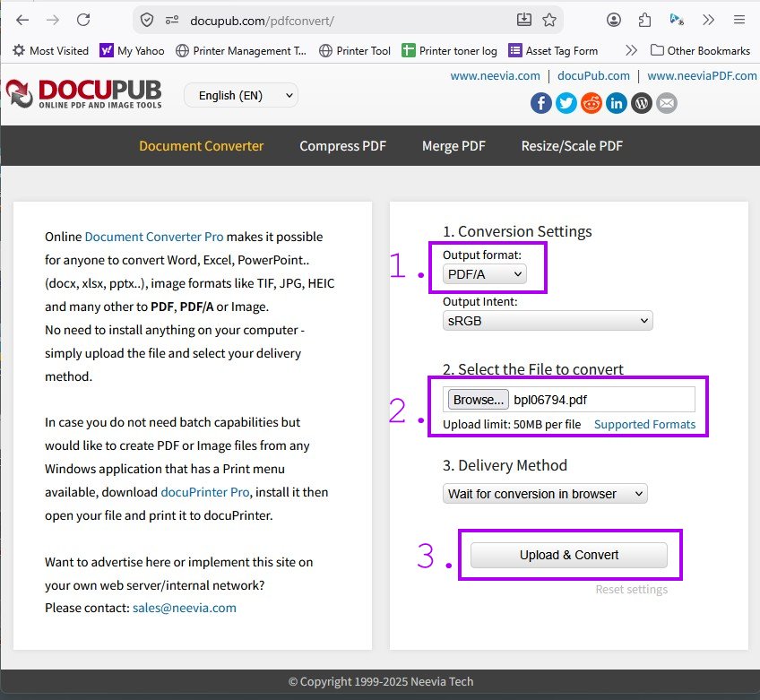 docupub.com opening screen. Change Output format to PDF, Browse for file to convert, then Upload and Convert/A
