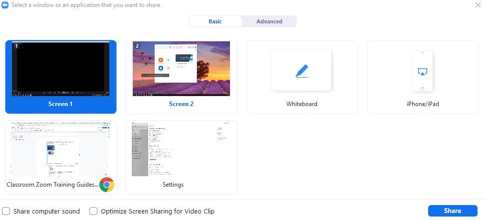 Zoom window with share screen options