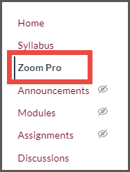Sidebar with a highlighted Zoom Pro tab.