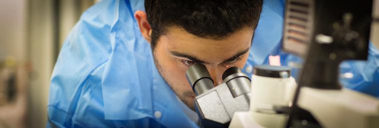 Matthew Findlay (17), a bio engineering major, works on passaging kidney cells inside the tissue culture lab at the Bannan Engineering Building of Santa Clara University on September 3, 2015. (Photo credit: Joanne H. Lee/Santa Clara University)
