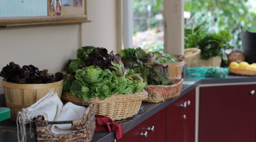 Baskets of fresh vegetables on a kitchen counter by a window.