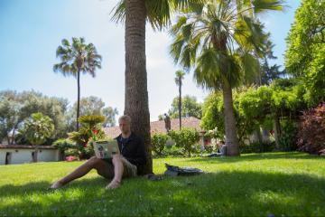 Person sitting under a palm tree in a park with a dog.