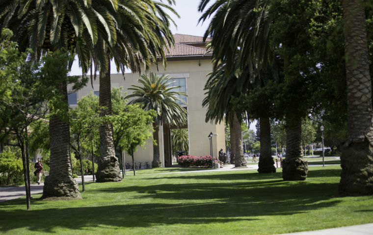 Learning Commons fronted by palm trees