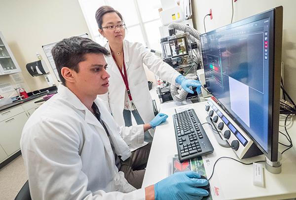 Daniel Levy and Mai Anh Do work on a computer in the Bannan Engineering Labs