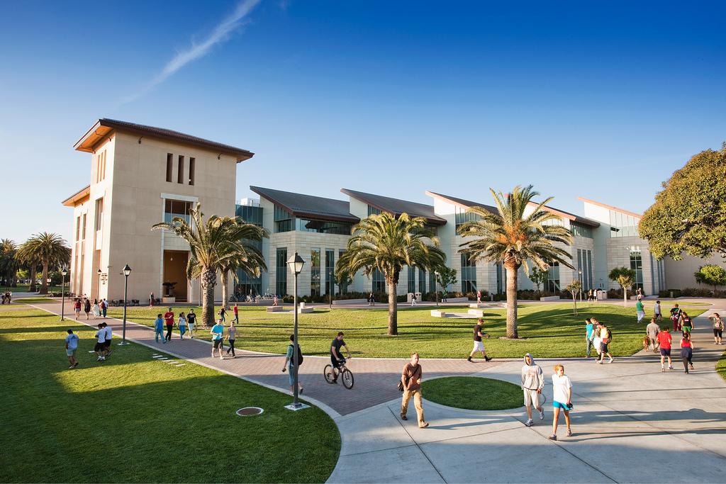 A modern library building with a park in front.