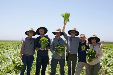 Student researchers in lettuce field