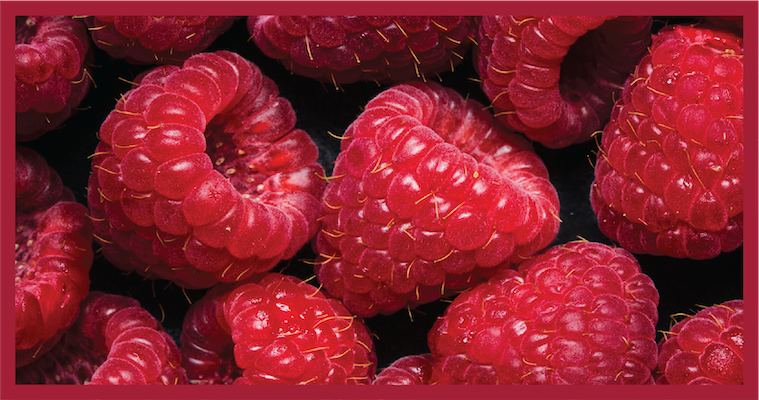 Close up of Driscolls raspberries