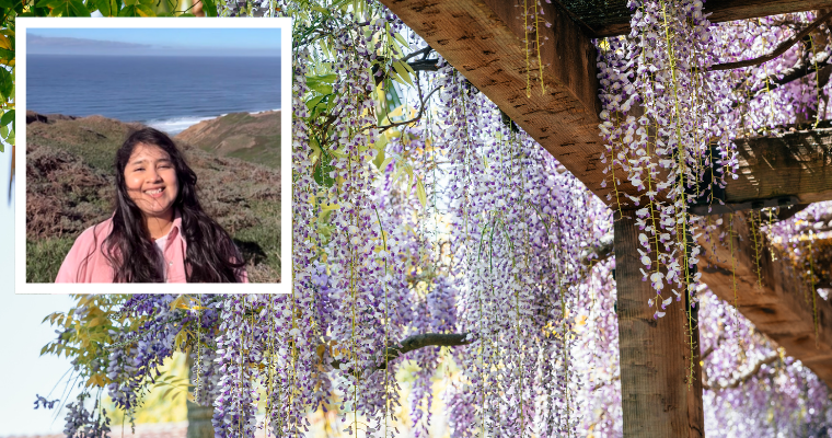 MBA candidate Uma Kaipa over Santa Clara Mission Gardens wisteria