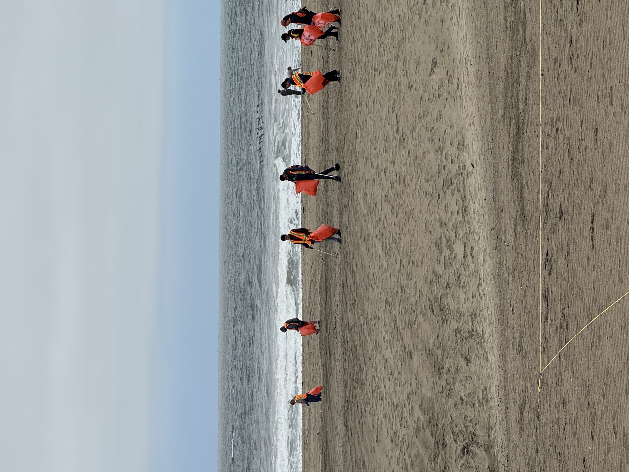 Beach cleanup
