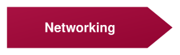 networking icon