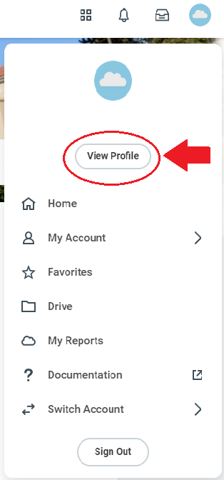 Click on the View Profile button, which will bring up your profile summary page.