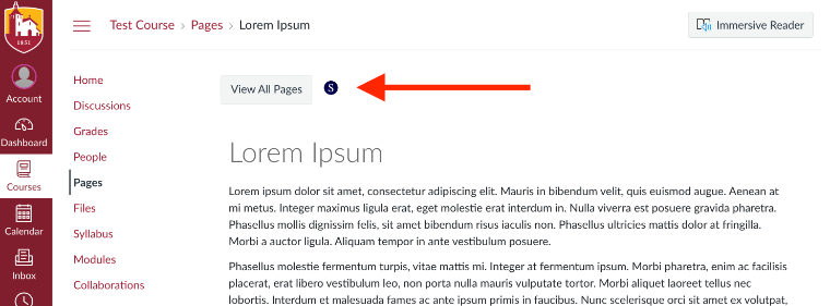 In Camino, the button to Convert the file with SensusAccess is pointed out at the top of the page, just before the main heading.