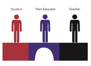 Three figures labeled Advisor, Coordinator, and Coach in red, blue, and black respectively.