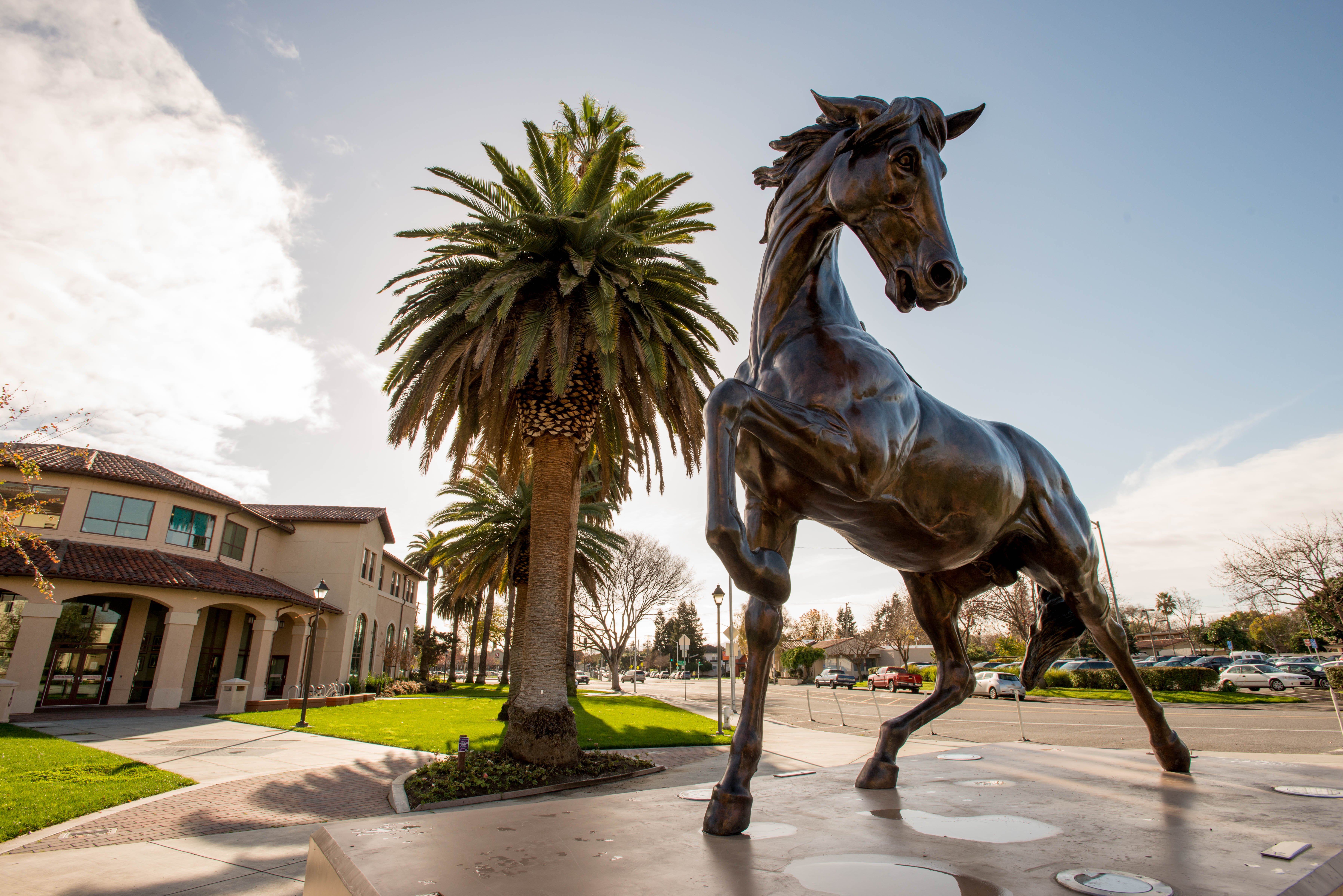 Bronco statue with palm and library in background