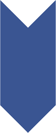Vertical Progress Bar step 2