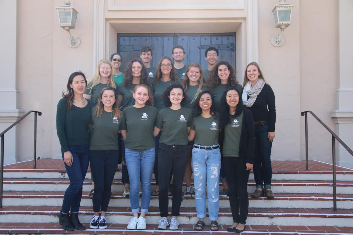 Photo of the Sustainability Intern team