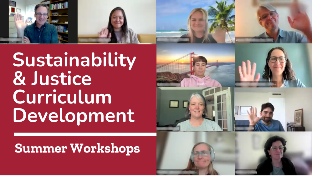 Graphic showing a zoom screen with the text Sustainability and Justice Across the Curriculum Development Summer Workshops. image link to story