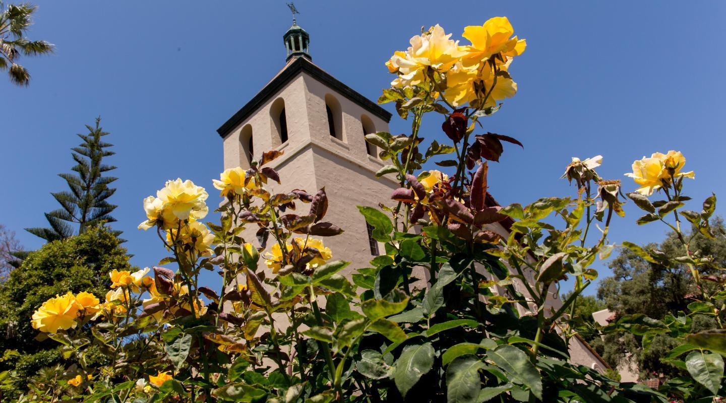 Yellow flowers framing the bell tower of the Mission Church 