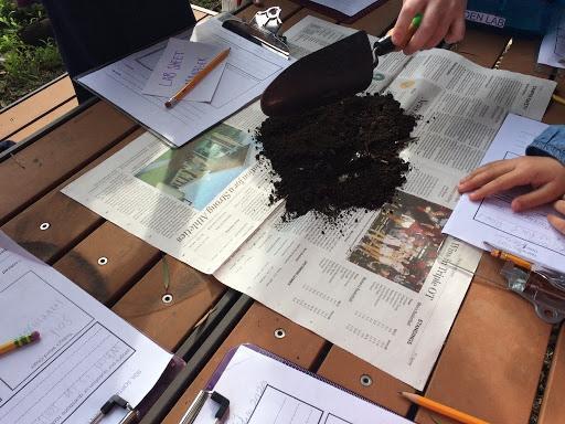 Several hands and papers around a clump of soil on a table.