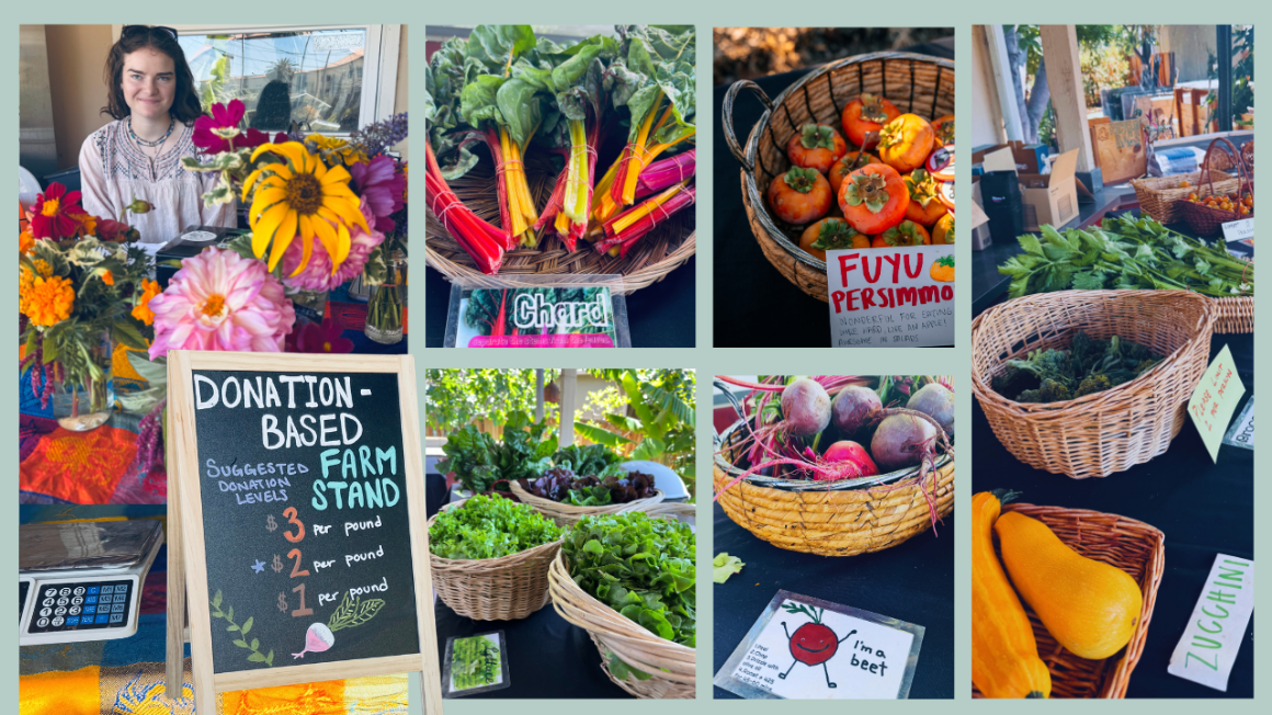 Collage of images showing produce available at the Farm Stand