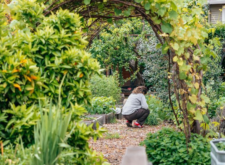 A student working in the forge garden seen through a vine arch 