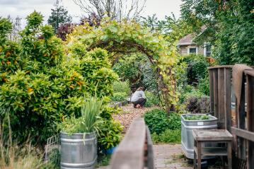 A student working in the forge garden seen through a vine arch 