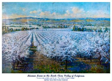 Vintage postcard with a view of santa clara valleys blossoming orchards