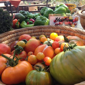 heirloom tomatoes at the forge farmstand