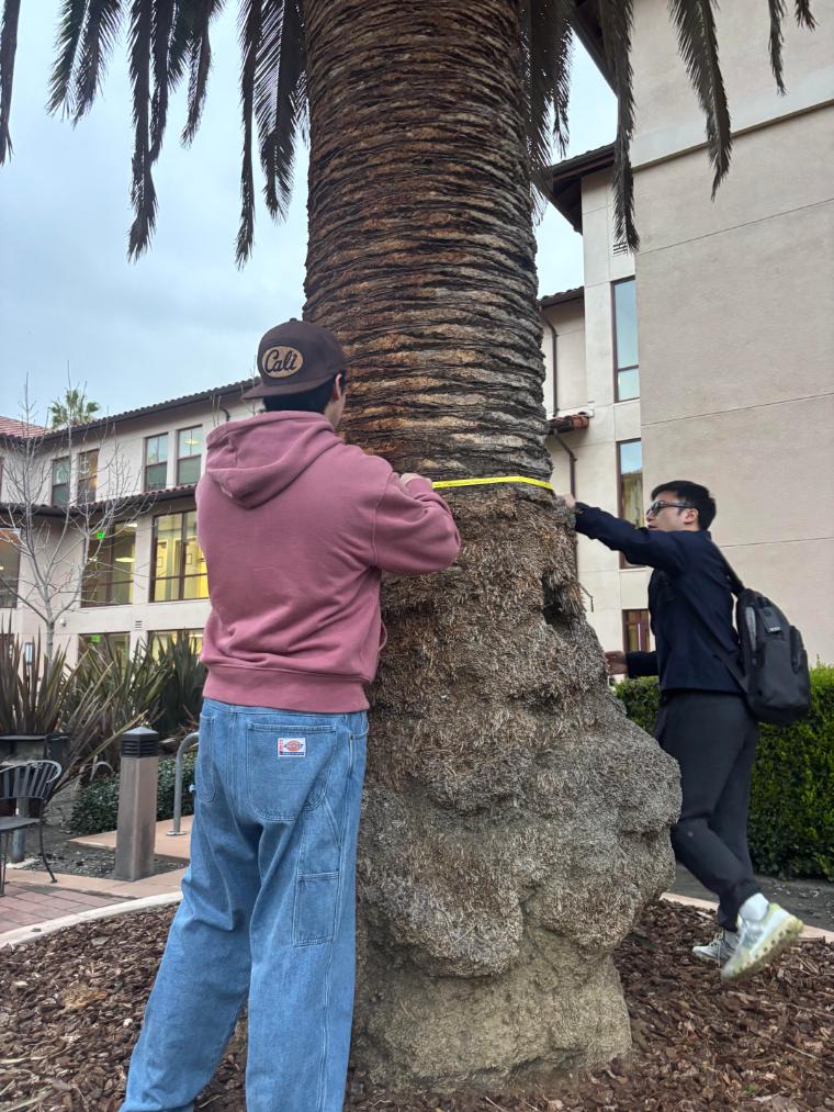 2 Students measuring a tree during tree trackers